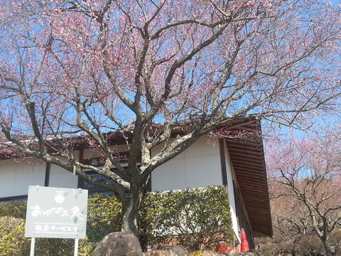 20150305_122628 (1)