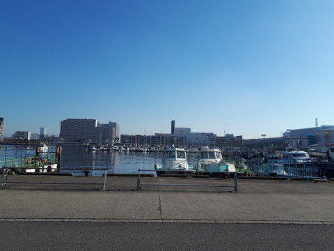 20201207_115617