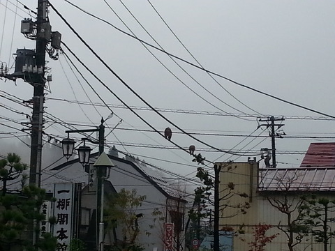 20141112_122612