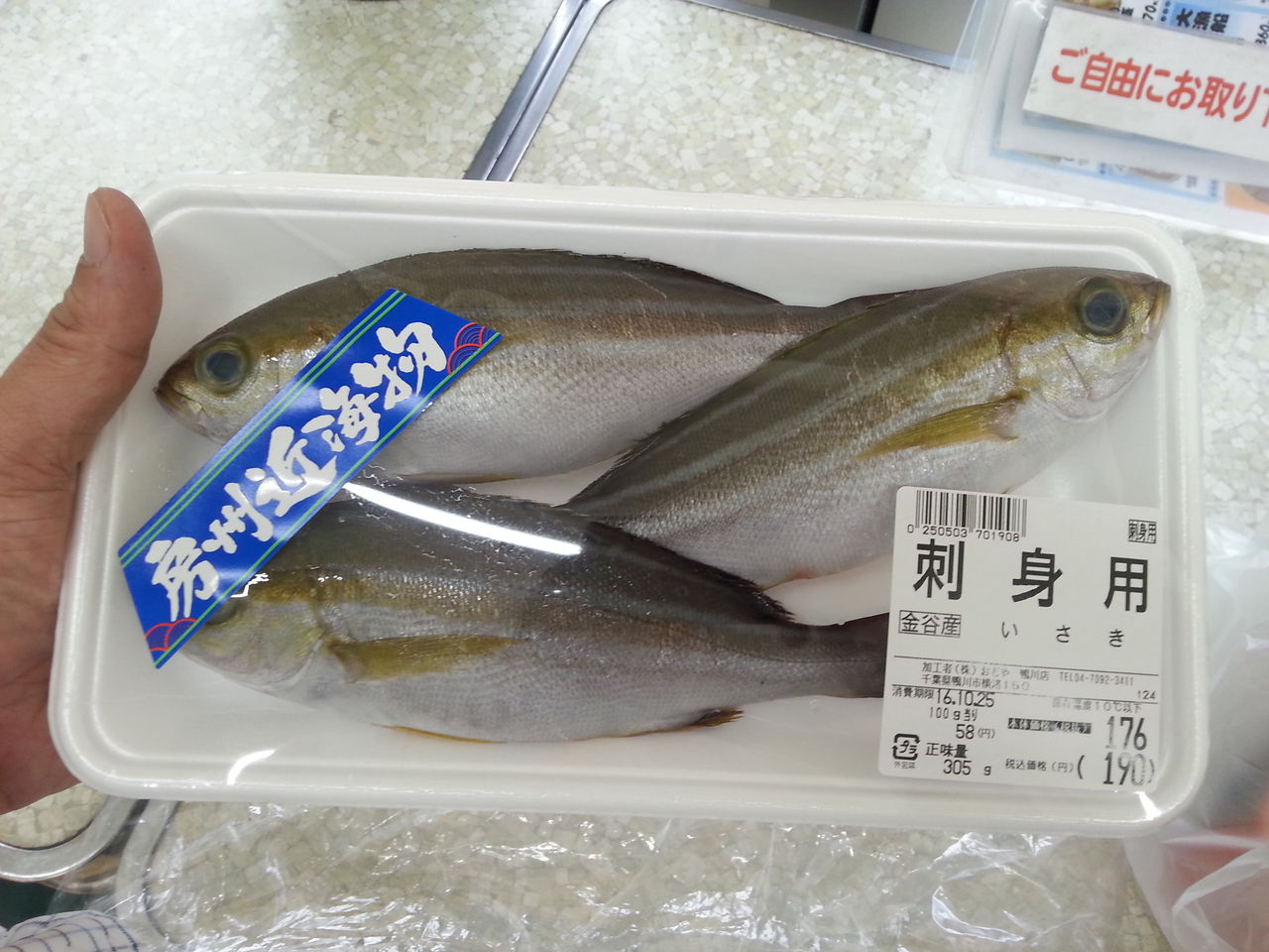 房総半島で魚の土産 魚に強い地元スーパー おどや の 地魚 道の駅オーシャンパーク鴨川の土産の品 金目鯛茶漬け 関東b級グルメドライブ ちょに らいでん がメタボで帰還