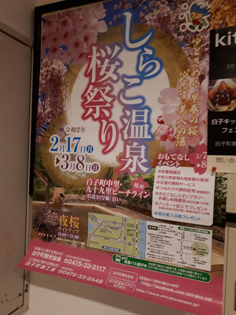 至急記事 白子町では3月8日迄 白子温泉桜祭り が開催中 入浴も0円引きチケット配布 九十九里の海鮮と共にいかが 関東b級グルメドライブ ちょに らいでん がメタボで帰還