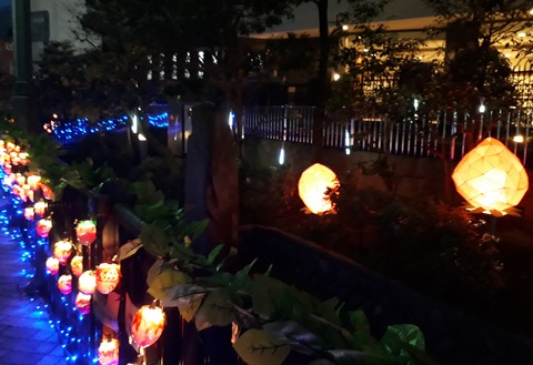 IMG_20211227_184152_265