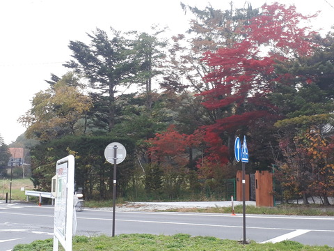 20181026_160306