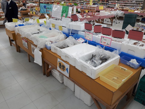 20190203_142354