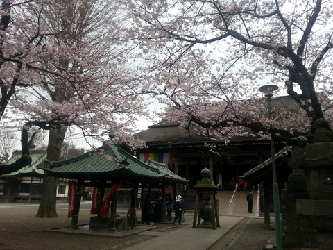 20160401_141955