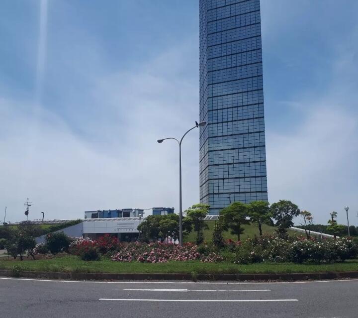 マニアックなツメタ貝とイボニシ貝を捕って食してみた 千葉ポートパークの潮干狩り 関東b級グルメドライブ ちょに らいでん がメタボで帰還