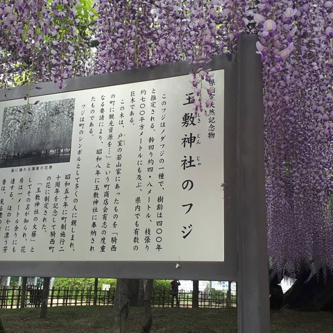 IMG_20210428_205058_235