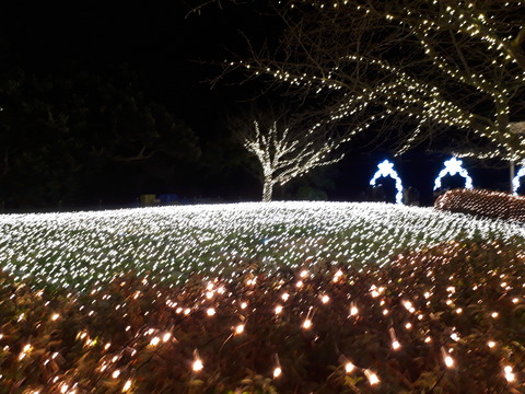 20191224_193223