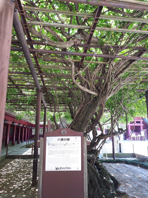 20180522_104203