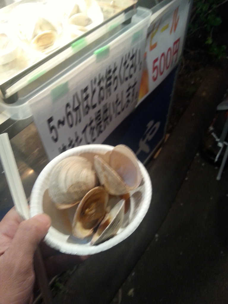 ようこそ面白半島千葉へ 市川市某所にてホンビノスを収穫して食べてみた 関東b級グルメドライブ ちょに らいでん がメタボで帰還 ようこそ面白半島千葉へ 市川市某所にてホンビノスを収穫して食べてみた 関東b級グルメドライブ ちょに らいでん がメタボで帰還
