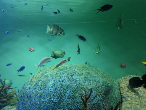 20150719_155437