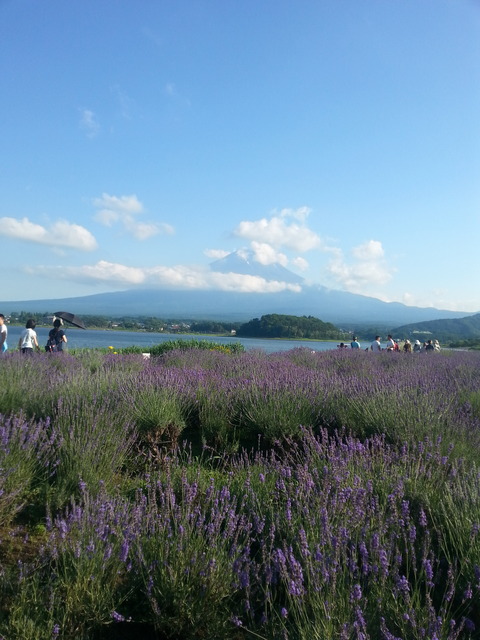 20170711_164420