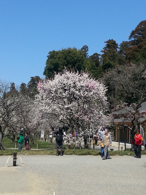 20140324_124142