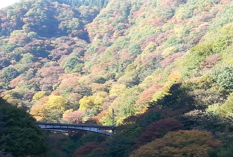 20181030_133301