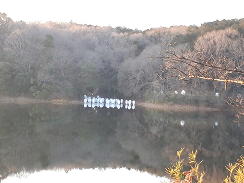 20190108_160904