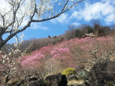 20150305_132037