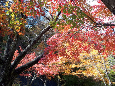 20181027_113531