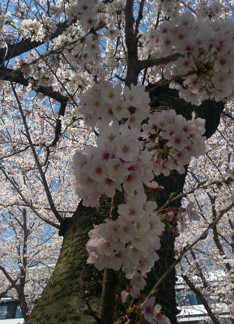 20190402_131542