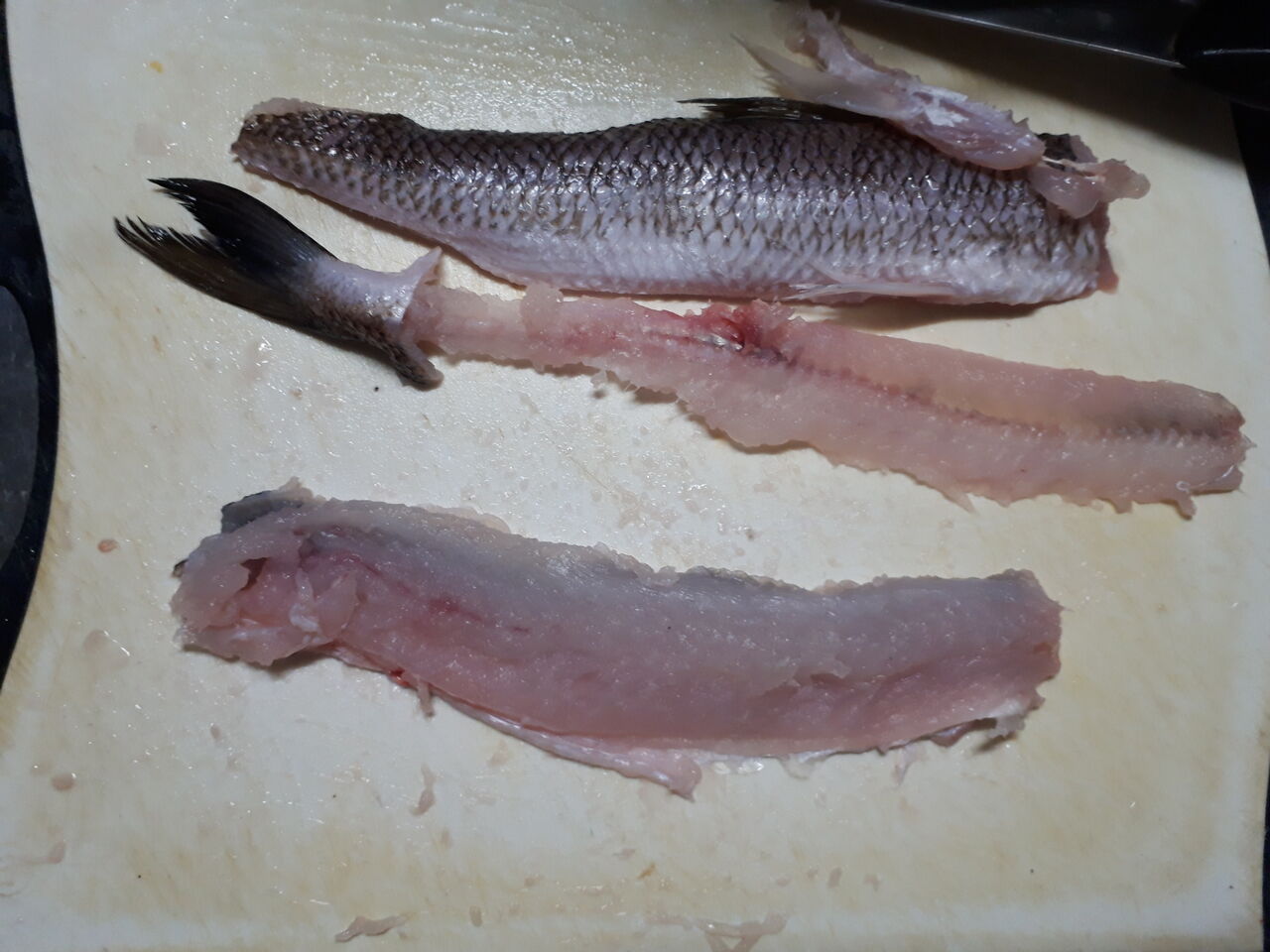1匹100円のエソという魚を料理してみた 年海鮮 その47 関東b級 ご当地グルメドライブ ちょに らいでん がメタボで帰還