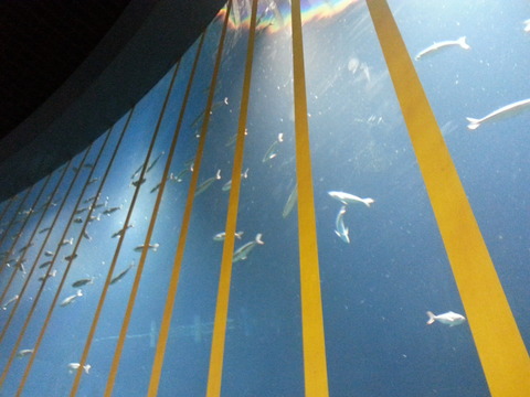 20150719_151758