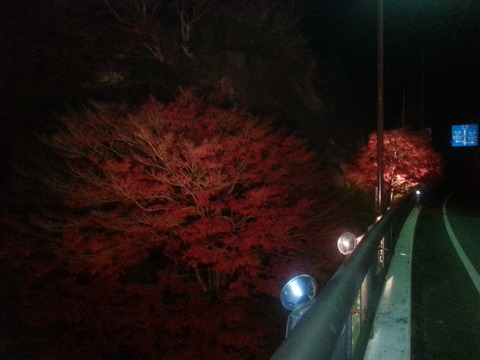 20131126_175158