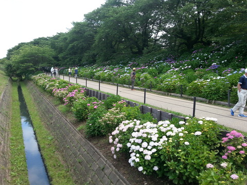 20160614_135910