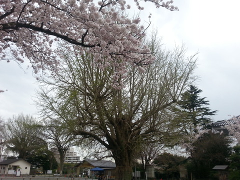 20170412_151155
