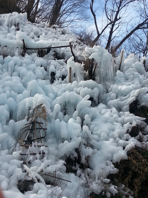 20170223_131951
