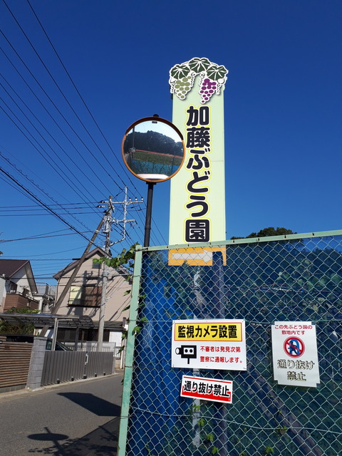 20180905_144143