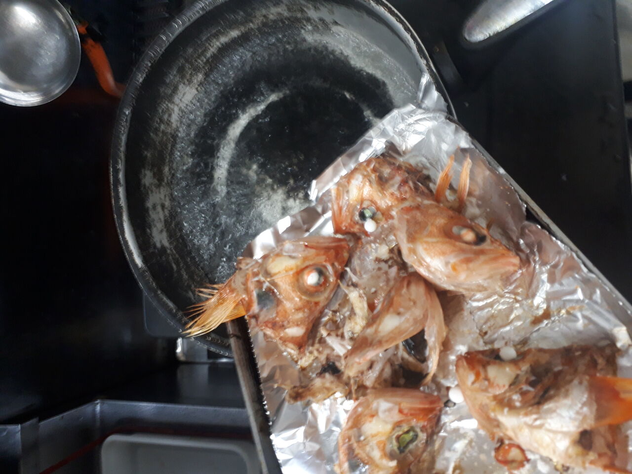那珂湊のノドグロ9匹500円で２日で5品を作って味わう 関東b級グルメドライブ ちょに らいでん がメタボで帰還