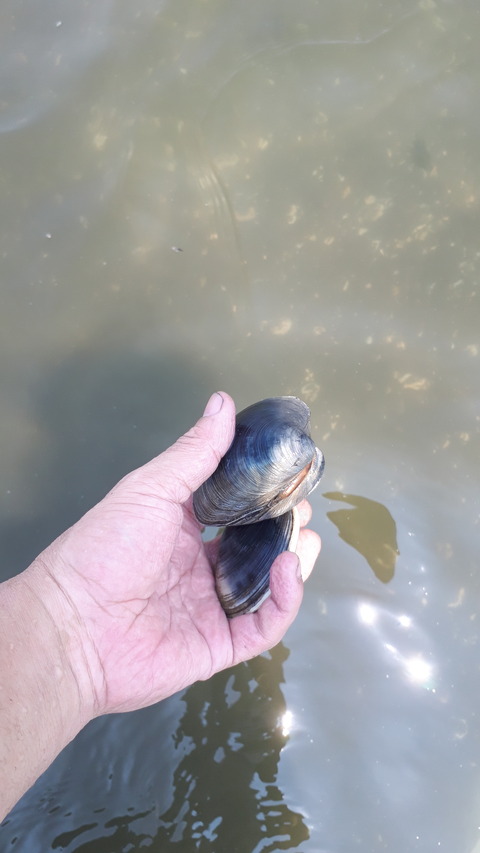 20190801_122611