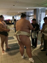 相撲6