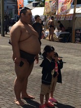 相撲5