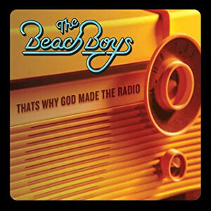 未開封 LP EP ビーチボーイズ THAT’S WHY GOD MADE 未開封 LP EP ビーチボーイズ THAT'S WHY GOD MADE - メルカリ