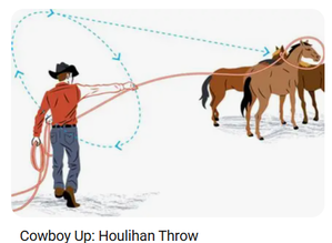 スクリーンショット 2025-10-08 224510