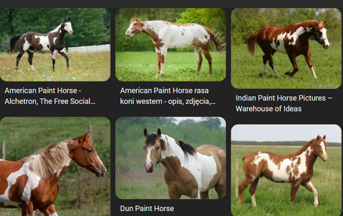 スクリーンショット 2025-10-08 223735