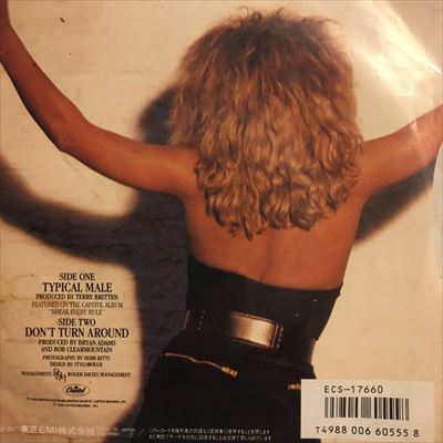 Typical Male / ティピカル・メイル（Tina Turner / ティナ・ターナー 