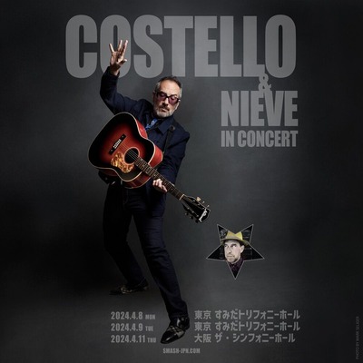 来日決定】Alison / アリソン（Elvis Costello / エルヴィス