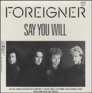 SayYouWill
