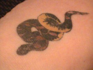 51b89a9660bb8a71f188b66e683d87ba