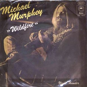 MMWild