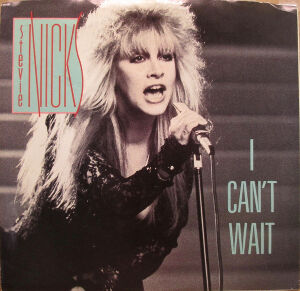 I Can't Wait / アイ・キャント・ウェイト（Stevie Nicks