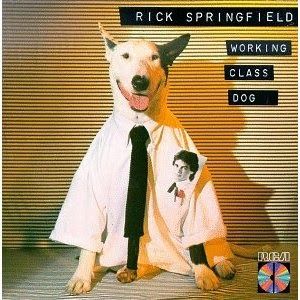 Jessie's Girl / ジェシーズ・ガール（Rick Springfiield