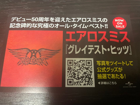 400378113_2605862662899835_1519936886880686872_n