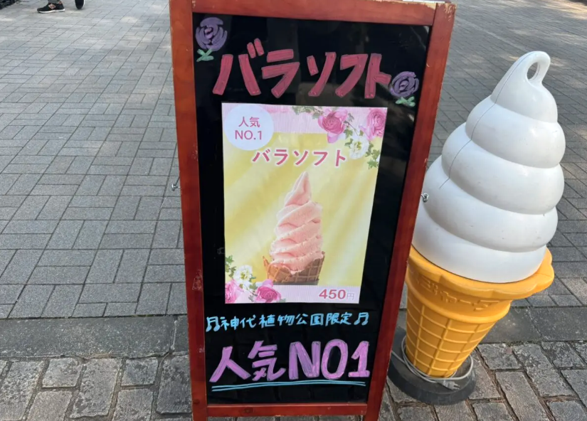 バラの名前に洋楽を聴く】春のバラフェスタ行ってきました！ : 洋楽