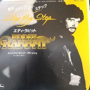 81‐①DWE ステップバイステップDVD1〜12巻 Step by Step DWE