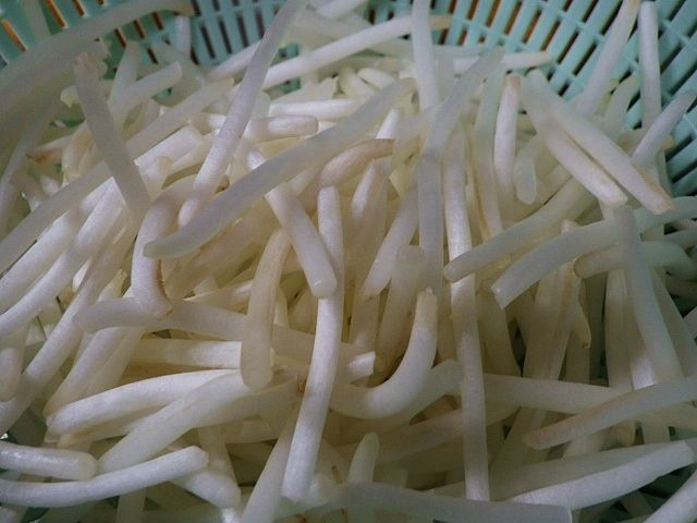 ラクダのコブ 駝峰 の細切り炒め 公元堂主人 ラクダのコブ 駝峰 の細切り炒め 公元堂主人
