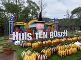 IMG_1261