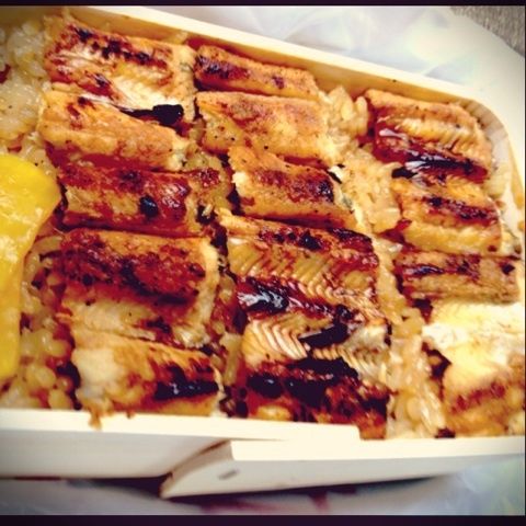2013-8-11ふじの屋あなごめし