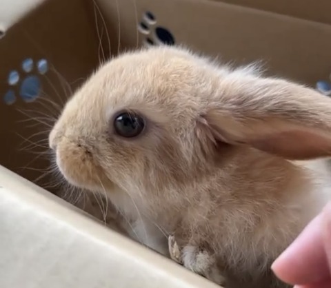 C431B7C4-8B5D-433E-B6BB-A010AC4EA59B